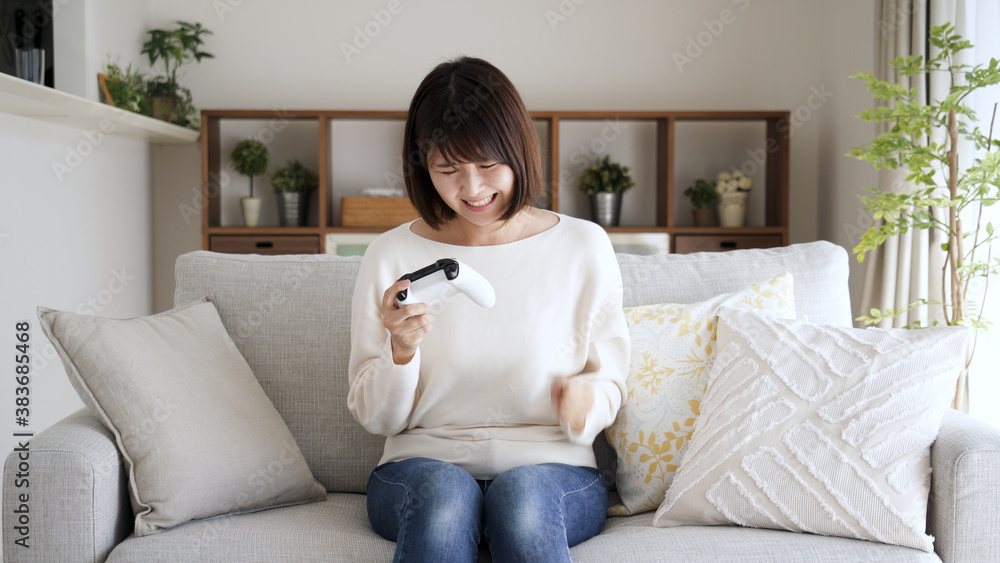 ゲームプレイ イメージ ゲームプレイ イメージ