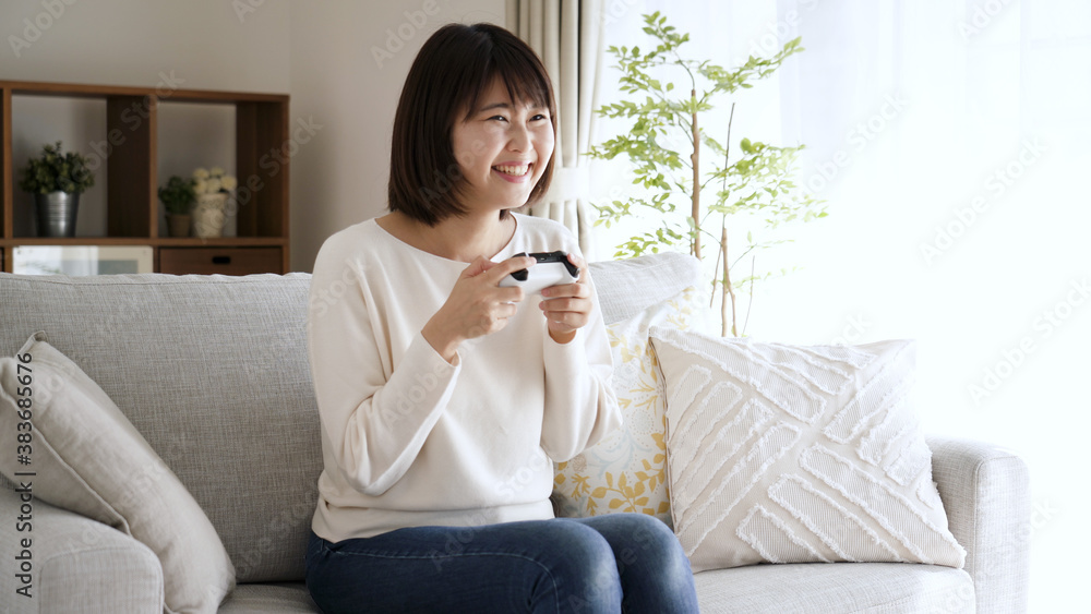 ゲームプレイ イメージ ゲームプレイ イメージ