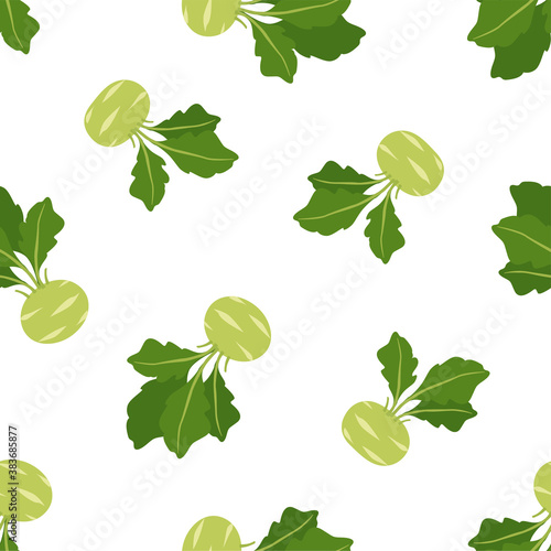 Vegetable Cabbage Kohlrabi. Patterns