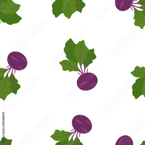 Vegetable Cabbage Kohlrabi. Patterns