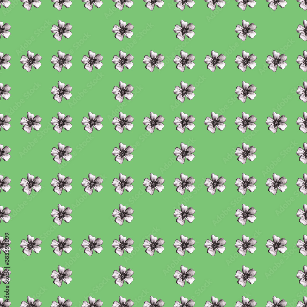 Seamless Pattern with Hand-Drawn Flower. Background with Thin-leaved Marigolds for Print, Design, Holiday, Wedding and Birthday Card. Seamless Pattern with Hand-Drawn Flower. Background with Thin-leaved Marigolds for Print, Design, Holiday, Wedding and Birthday Card.