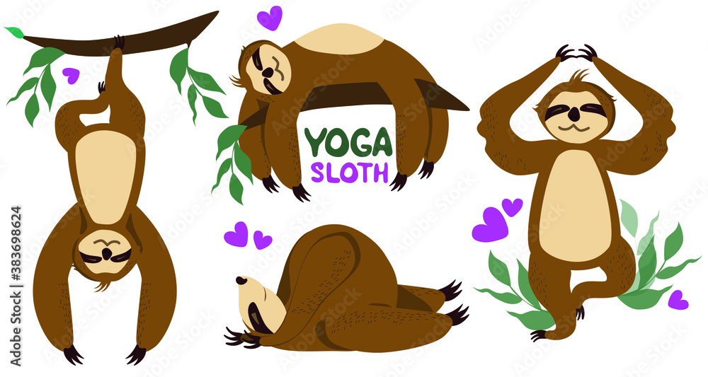 Fototapeta premium Set Sloth yoga. Different poses. Sloths isolated on white background. Vector graphics. Cartoon style
