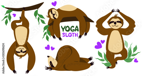 Set Sloth yoga. Different poses. Sloths isolated on white background. Vector graphics.  Cartoon style