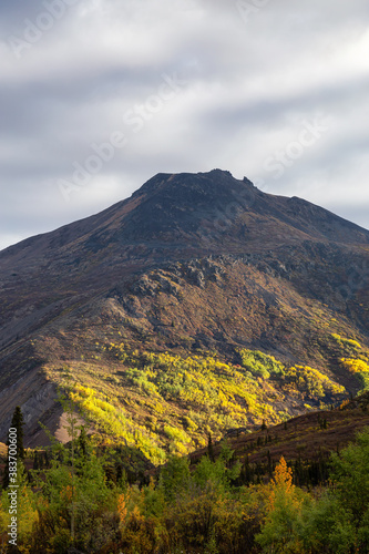View of Scenic Mountain and Trees on a Fall Morning at Sunrise in Canadian Nature. Taken in Tombstone Territorial Park, Yukon, Canada.