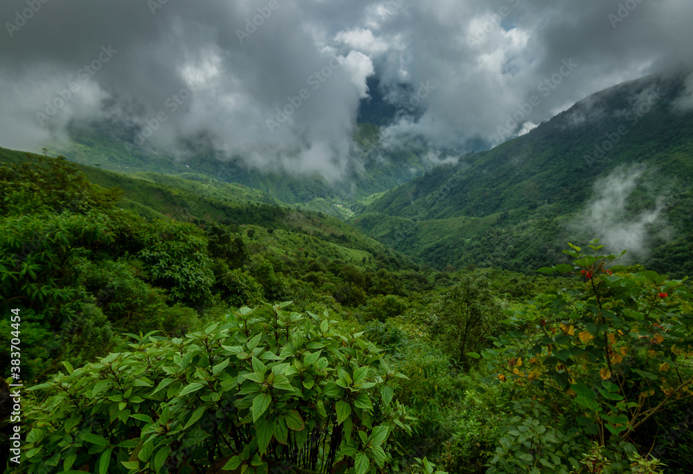 Play of clouds in green valley seen near Cherrapunji , Meghalaya, India, Asia