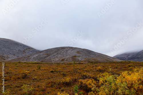Fototapeta Naklejka Na Ścianę i Meble -  Beautiful View of Scenic Landscape on a Fall Day in Canadian Nature. Taken near Tombstone Territorial Park, Yukon, Canada.