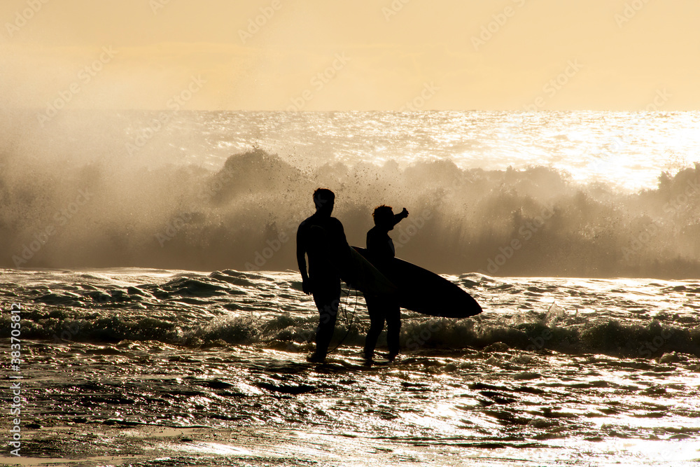 Silhouette of Surfers in Ocean - obrazy, fototapety, plakaty 