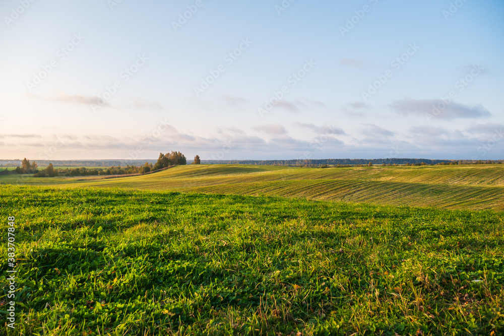 A huge green field with grass and wheat. Small hills and trees in the distance. A big beautiful blue sky.