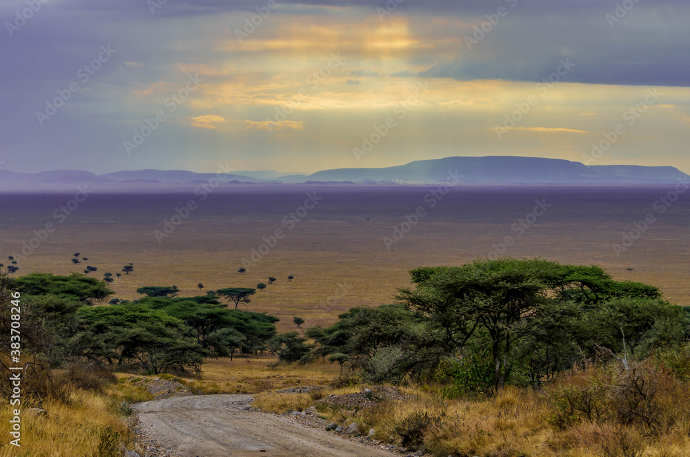 Sun Rays break through clouds in a sky over the Serengeti
