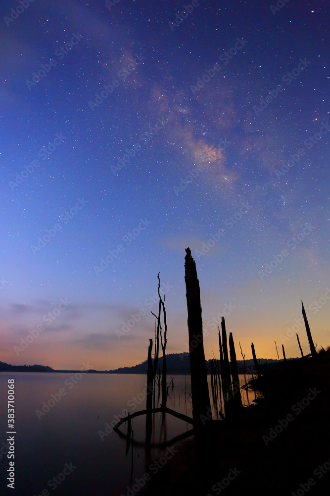 Milky way galaxy with stars and space dust over dead trees and lake. Natural Background