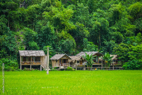 A cluster of home stay and local houses on a hillside between a green rice field and mountains  Mai Chau Valley  Vietnam  Southeast Asia.