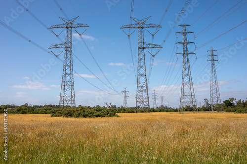 Powerlines in a field in Melbourne, Australia