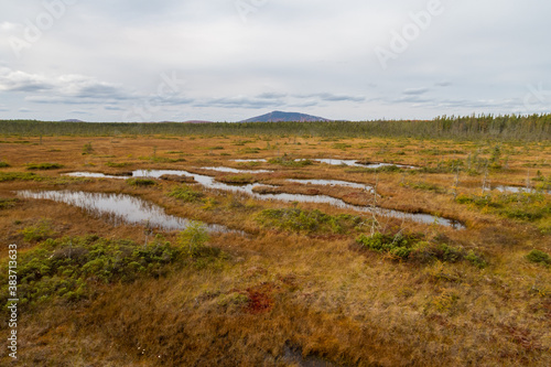 Beautiful view of a peat bog in the Frontenac national park, Canada