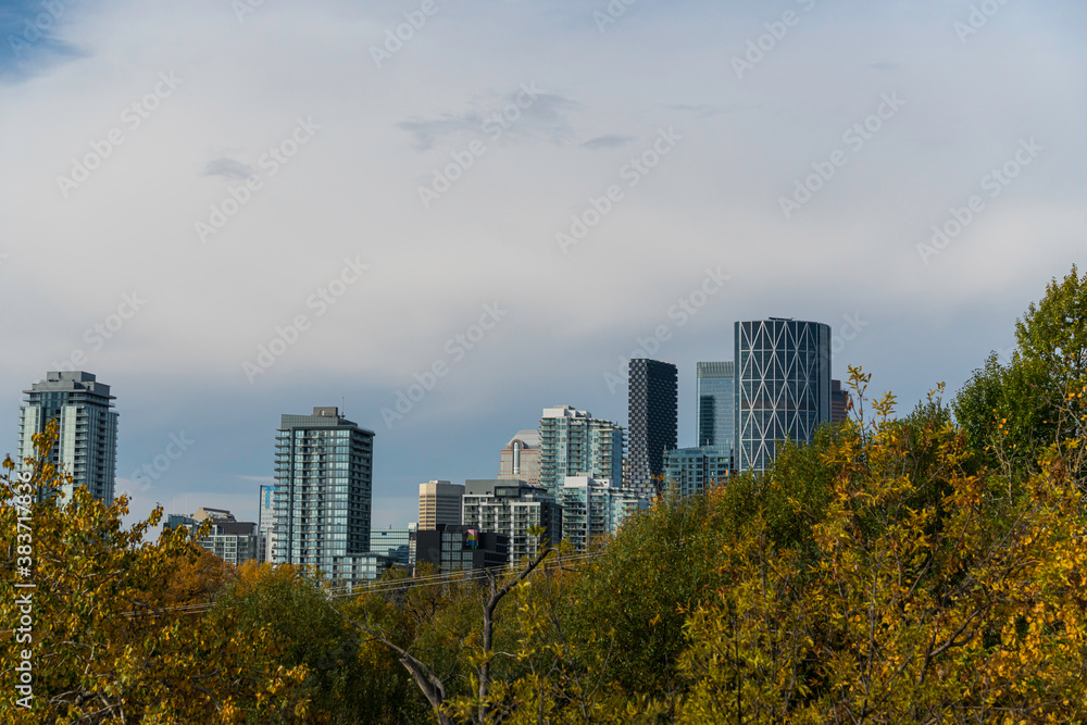 Downtown city skyline with fall trees in foreground