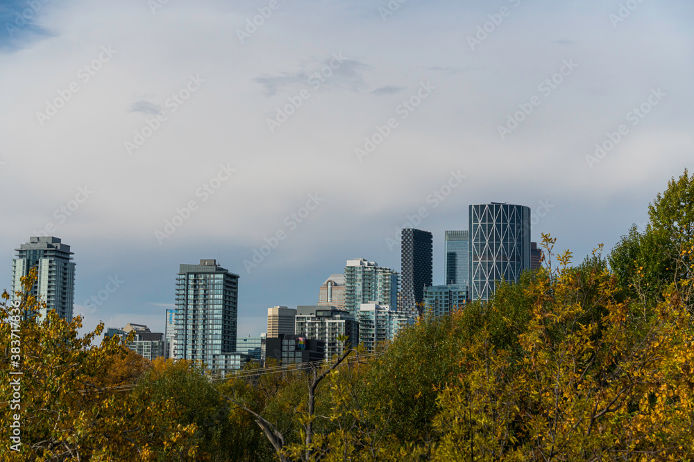 Downtown city skyline with fall trees in foreground Downtown city skyline with fall trees in foreground