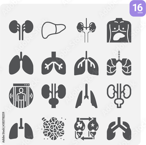 Simple set of liver related filled icons.