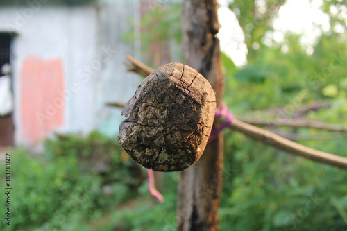 close up of a wood