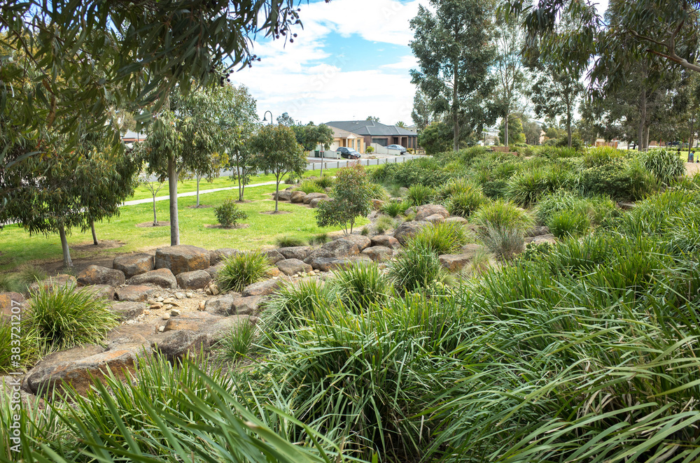 View of a landscaped suburban park with footpath, rocks, Eucalyptus gum trees, and some Australian native plants in a residential neighborhood. Melbourne, VIC Australia. View of a landscaped suburban park with footpath, rocks, Eucalyptus gum trees, and some Australian native plants in a residential neighborhood. Melbourne, VIC Australia.