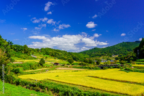 棚田と秋の青空、稲渕の棚田・奈良県明日香村