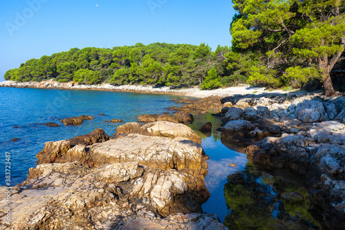 The natural beach Zlatni rt (Golden Cape) in Rovinj town, Croatia