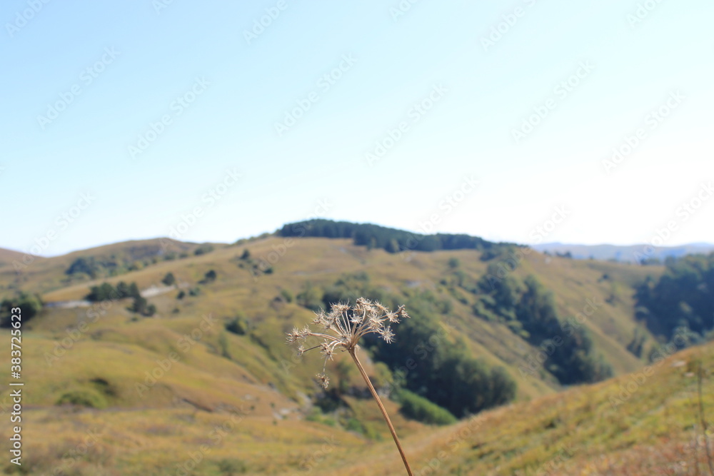 Sunny day in the foothills of the Caucasus near Kislovodsk