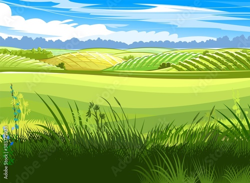 Rural hills. Scenery. Vector. Pasture grass for cows and a place for a vegetable garden and farm. Meadows and trees. Horizon. Beautiful view. Summer.