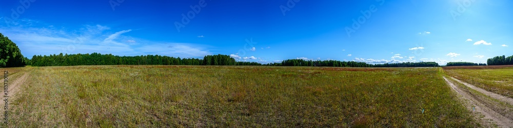 Panorama of a field covered with various flowers and herbs in the background a forest and a blue sky with feather clouds