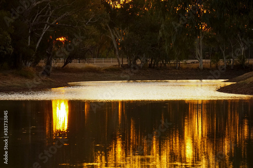 Golden sunset over lagoon at Redbank Park, Jericho , western Queensland. photo