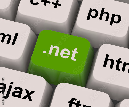 Dot Net Key Shows Programming Language Or Domain photo