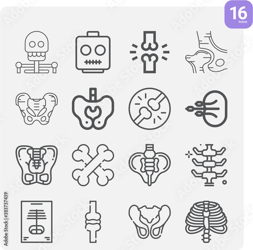 Simple set of pelvis related lineal icons.