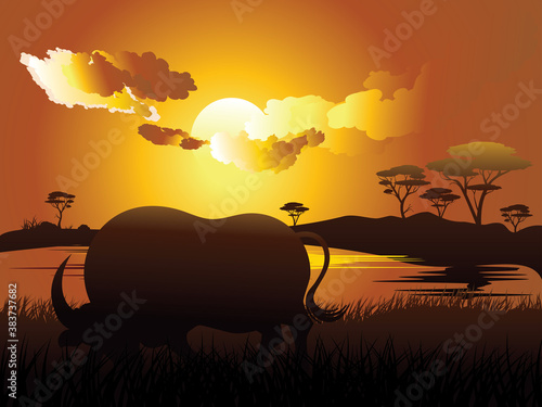 Sunset landscape and bull silhouette