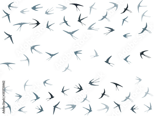 Flying swallow birds silhouettes vector illustration. Migratory martlets swarm isolated on white. 