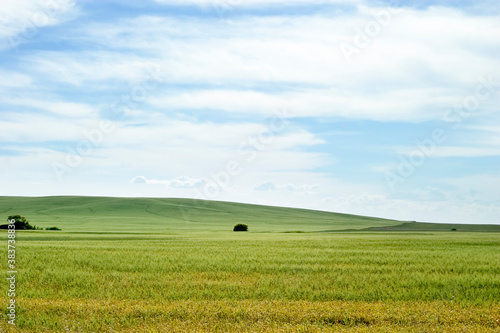 Prairie Landscape