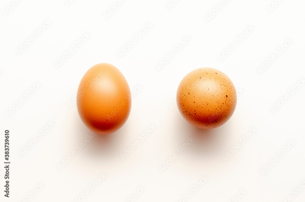 eggs on a white background. comparison. round and regular egg. eggs on a white background. comparison. round and regular egg.
