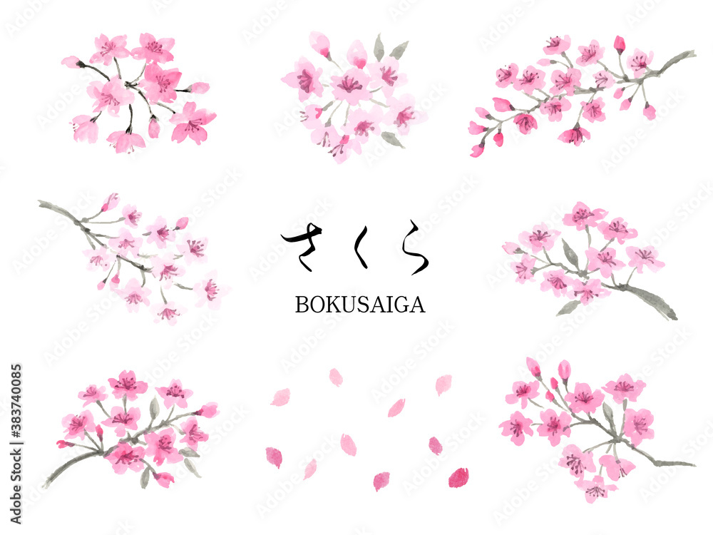 さくら 墨彩画セット さくら 墨彩画セット