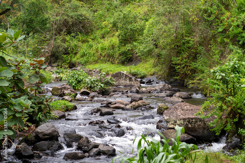 river under Kilimanjaro  Tanzania 