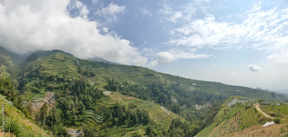 Landscape agriculture on the mountain