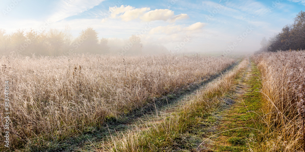 empty rural fields in morning mist. countryside scenery in autumn.