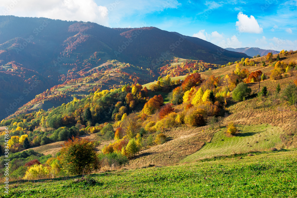 beautiful mountain landscape on a sunny day. wonderful countryside scenery in autumn season. rural fields and trees in colorful foliage on the distant rolling hills