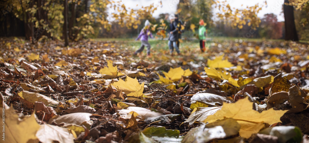 children play in autumn park, blurred silhouettes