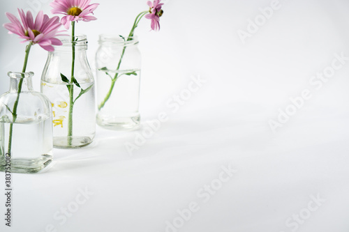 Place for text on a white background with spring flowers