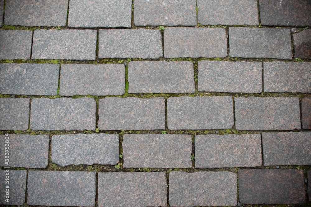 autumn leaves pattern on the stone pathway autumn leaves pattern on the stone pathway