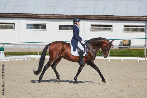 Rider on a horse competition