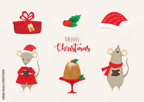 raccolta elementi decorativi del natale