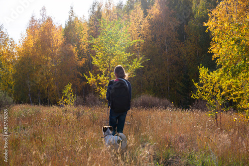 A girl with backpack and a dog go to the forest on a field in autumn. The view from the back