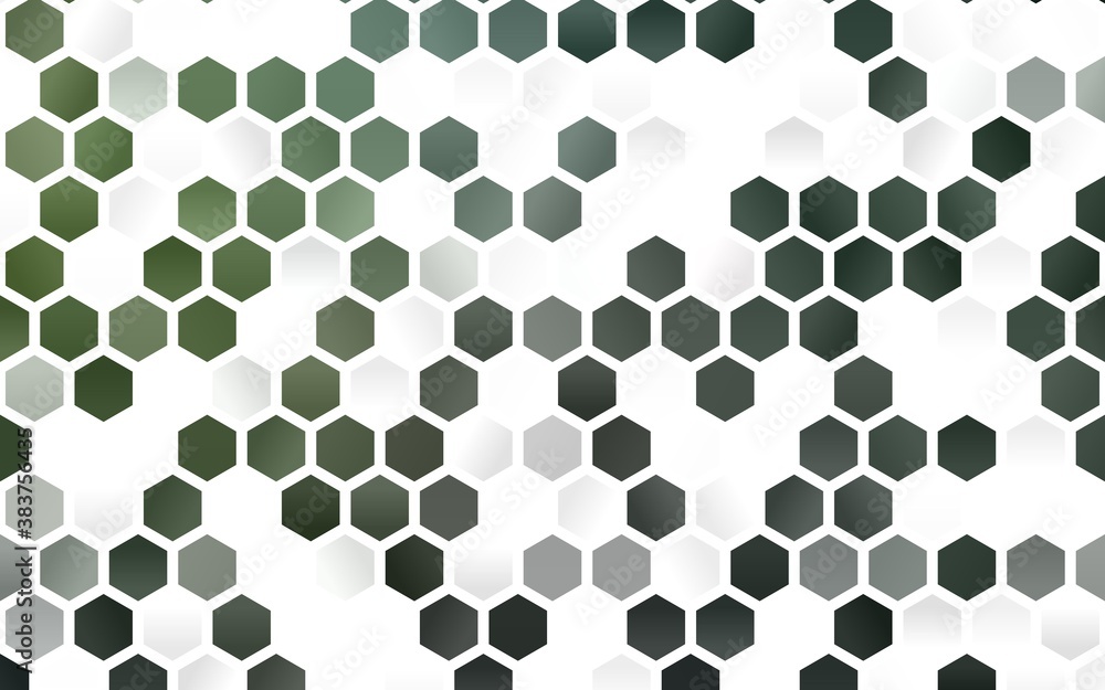 Light Green vector layout with hexagonal shapes. Light Green vector layout with hexagonal shapes.