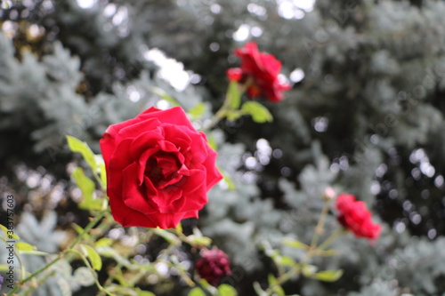 Москва в октябре