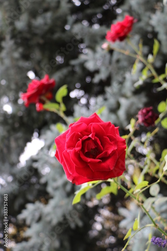 Москва в октябре