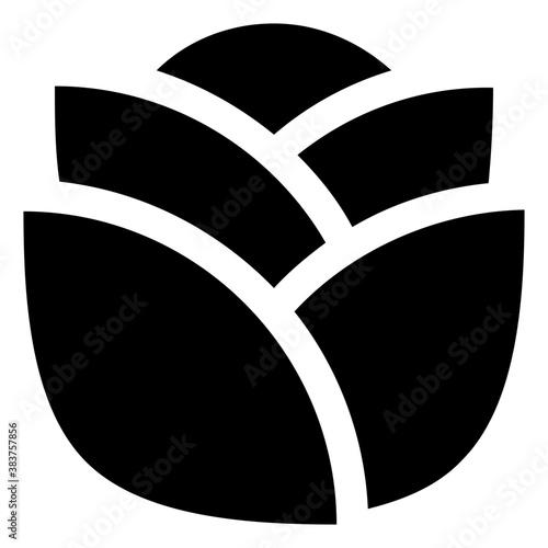 
Vegetable enriched with calcium depicting cabbage 
