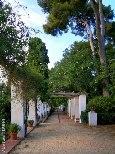 Jardin Montjuïc Barcelone
